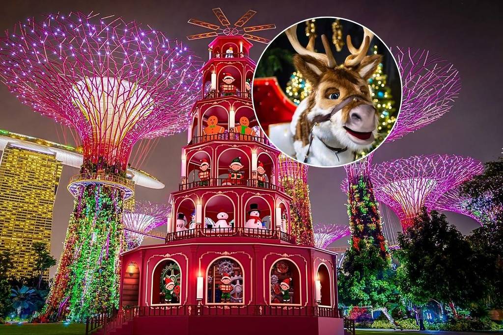 Christmas-Wonderland-2025-key-details-1024x683